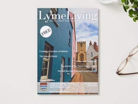 Did you know? - The story behind LymeLiving and council communications